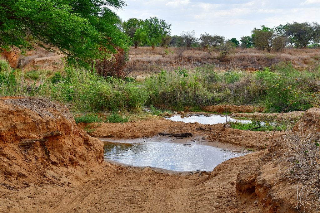 Morondava to Manja